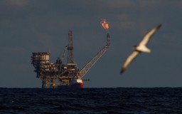 Số mỏ dầu mới phát hiện năm 2017 thấp kỷ lục