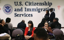 Mỹ hoãn chương trình cấp nhanh visa H-1B cho lao động lành nghề