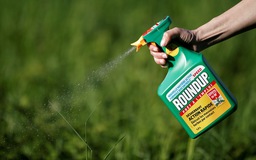Monsanto, hãng sản xuất chất da cam, phải bồi thường 2 tỉ USD vì thuốc diệt cỏ gây ung thư
