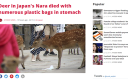 Nai Nhật Bản chết vì ăn phải túi ni lông
