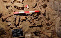 Bất ngờ phát hiện các hài cốt hóa thạch người Neanderthal gần Rome