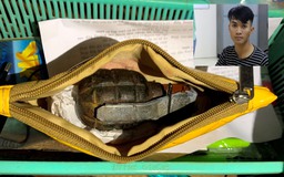 Bảo Lộc: Bắt giữ nghi phạm tàng trữ ma túy, lựu đạn, kiếm Nhật và áo giáp