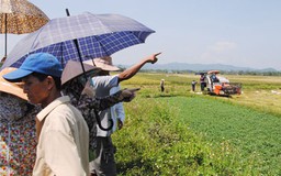 ‘Ép dân’ gặt lúa bằng máy do hợp tác xã hợp đồng?