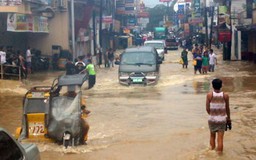 Số người chết do bão Goni ở Philippines tăng vọt