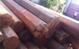 Phát hiện gỗ lậu tại nhà nguyên phó bí thư huyện ủy