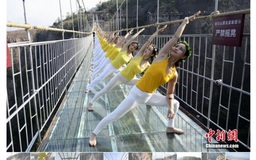 100 người đẹp tập yoga trên cầu treo đáy kính
