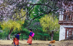 Triển lãm ảnh về vương quốc Bhutan