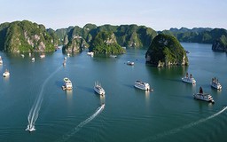 Đoàn làm phim 'Kong: Skull Island' đang tiền trạm ở Việt Nam