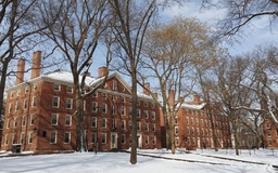 Đại học Harvard cải cách chương trình hướng ra cộng đồng