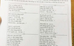 Đề thi bằng thơ khiến dân mạng 'té ghế'