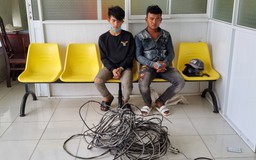 Kiên Giang: Cắt trộm hàng trăm mét dây điện bán phế liệu để mua ma túy