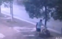 Người đàn ông Trung Quốc cưa đổ cây bên đường để trộm xe đạp