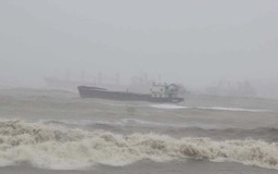 Kiến nghị Chính phủ giải cứu thuyền viên trên các tàu bị chìm ở biển Quy Nhơn