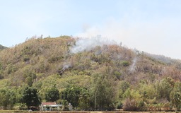 Huy động hơn 400 người dập đám cháy rừng