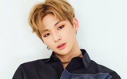 Rộ tin Kang Daniel tới Đà Nẵng