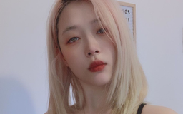 Sulli từng cố gắng tự sát nhưng bất thành