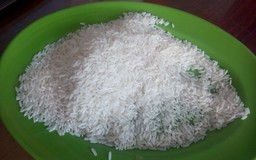 Kết quả giám định mẫu gạo tại TP.HCM không chứa nhựa