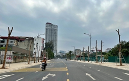 Hà Nội sẽ trồng mới hơn 200.000 cây xanh trên các tuyến đường đô thị