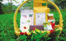 Trao gửi yêu thương