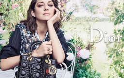 Marion Cotillard lộng lẫy trong chiến dịch mới của Lady Dior