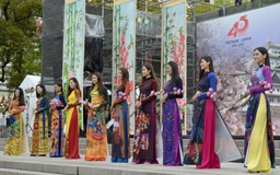 Lễ hội Việt Nam tại Aichi, Nhật Bản