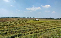 3 năm nhìn lại Nghị quyết 120 về một ĐBSCL 'thuận thiên' bền vững