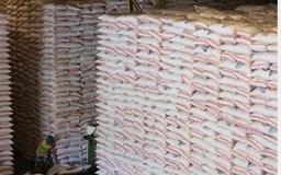 Vượt mặt Trung Quốc, Philippines nhập khẩu gạo nhiều nhất thế giới