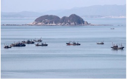 Hàng trăm tàu cá Trung Quốc đang tận diệt nguồn hải sản ở vùng biển Hàn Quốc?