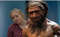 Người Neanderthal tuyệt chủng vì quan hệ tình dục với loài người?