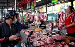 Cách nhận biết thịt lợn bị nhiễm dịch tả lợn châu Phi