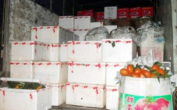 Hơn 1 tấn trái cây Trung Quốc nhập lậu gắn mác Mỹ