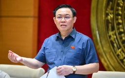 Tập trung nghiên cứu, luận cứ khoa học về các dự án luật