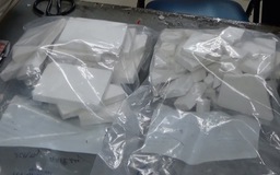 Nữ Việt kiều Úc chuyển 14 bánh heroin qua cửa khẩu Tân Sơn Nhất bị bắt giữ
