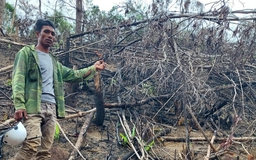 Lâm Đồng: Khởi tố vụ án phá gần 5.000 m2 rừng phòng hộ ở Đam Rông