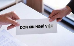 Đồng Nai: Vợ chồng phó giám đốc sở cùng xin nghỉ việc 'vì lý do cá nhân'