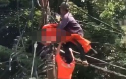 Ninh Bình: Một người bị điện giật tử vong khi đang sửa đường điện