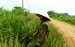 Chật vật mưu sinh sau khi 'nhường' đất cho doanh nghiệp