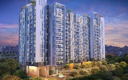 Mua căn hộ Valéo Đầm Sen, “Xem tận mắt, sờ tận tay” và xem hàng ngày