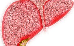 Phát hiện mới về khả năng tái tạo độc đáo của gan
