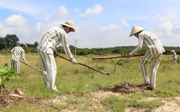 Chờ tự do trước ngày đặc xá - Kỳ 1: Mẹ ra tù, con đậu đại học