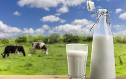 Tìm hiểu tác dụng của từng loại sữa đối với sự phát triển chiều cao của trẻ