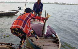 Săn 'lộc' trên sông Tiền