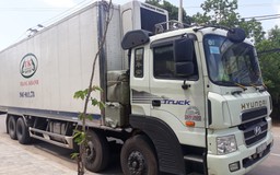 Xe tải chở 300 kg 'thịt thối'