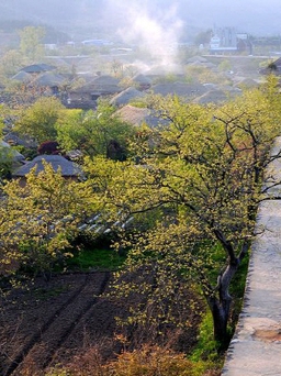 Naganeupseong, Hàn Quốc – trải nghiệm không gian của pháo đài, thị trấn và làng