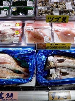 Sau Trung Quốc, Nga cấm nhập khẩu hải sản Nhật vì Tokyo xả nước nhiễm xạ