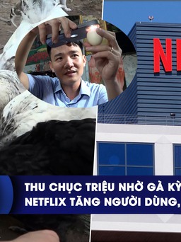 CHUYỂN ĐỘNG KINH TẾ ngày 20.10: Thu chục triệu nhờ gà kỳ lân | Netflix tăng người dùng, tăng giá