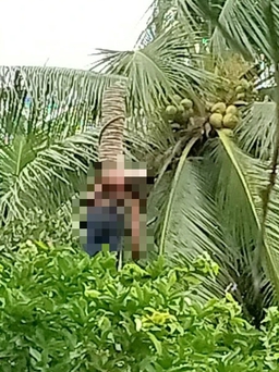 Người đàn ông tử vong khi đang cưa dừa, thi thể treo lơ lửng trên cây