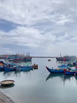 Quảng Ngãi: Dự án neo đậu tàu thuyền hơn 400 tỉ đồng được nghiệm thu sau 13 năm