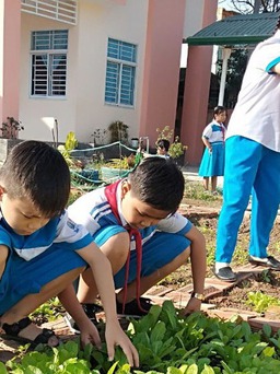 Bài học về tình yêu lao động và môi trường từ những điều rất nhỏ