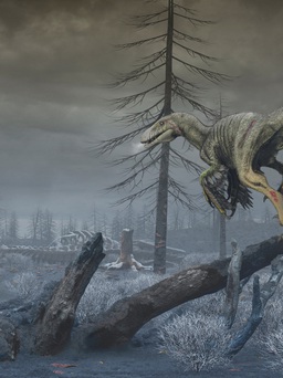 'Sát thủ' thật sự khiến khủng long tuyệt chủng